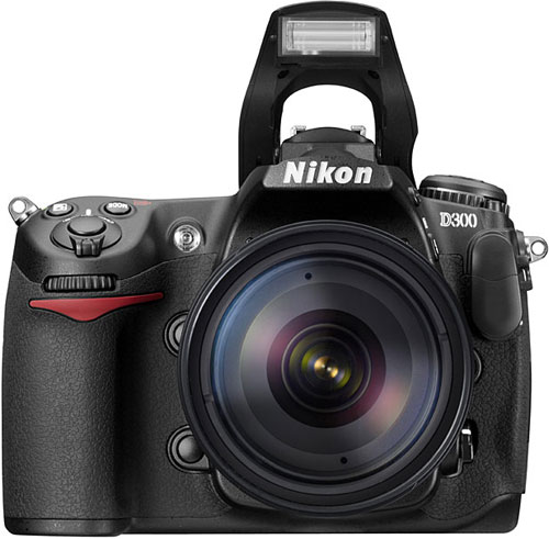 Nikon D300 - 12  