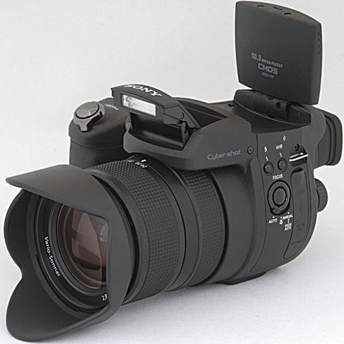   Sony DSC-R1 -    , 10 ,  24-120  .