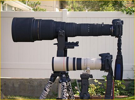 SigMonster -  Sigma 300-800mm f5.6