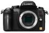 Panasonic Lumix DMC-GH2